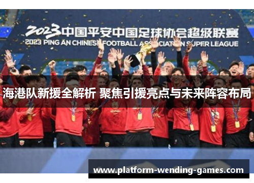 海港队新援全解析 聚焦引援亮点与未来阵容布局