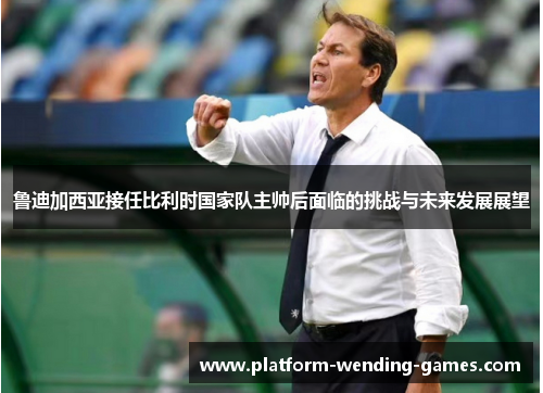 鲁迪加西亚接任比利时国家队主帅后面临的挑战与未来发展展望