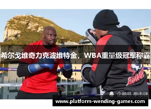 希尔戈维奇力克波维特金,WBA重量级冠军称霸 希尔戈维奇力克波维特金,WBA重量级冠军称霸