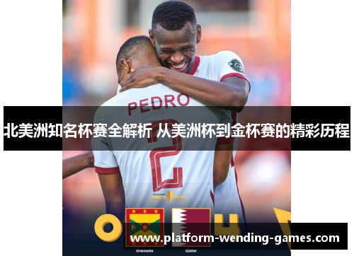 北美洲知名杯赛全解析 从美洲杯到金杯赛的精彩历程