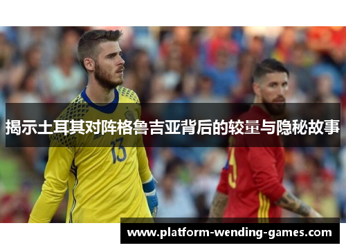 揭示土耳其对阵格鲁吉亚背后的较量与隐秘故事