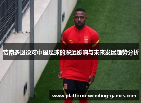 费南多退役对中国足球的深远影响与未来发展趋势分析