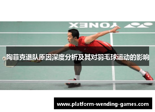 陶菲克退队原因深度分析及其对羽毛球运动的影响