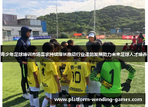 青少年足球培训市场需求持续增长推动行业蓬勃发展助力未来足球人才培养 青少年足球培训市场需求持续增长推动行业蓬勃发展助力未来足球人才培养